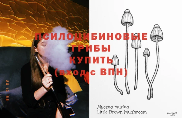 jwh Верея
