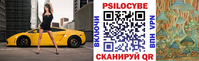 Купить  Новоуральск  Галлюциногенные грибы GOLDEN TEACHER 